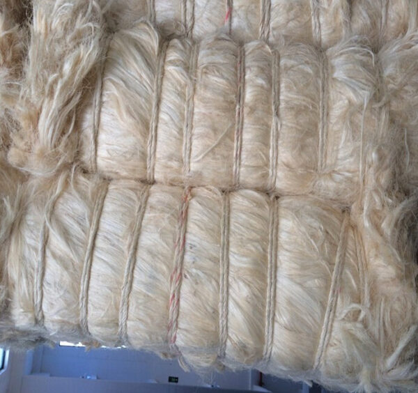 Sisal Fiber Short Fiber Tow 2 - Image 3